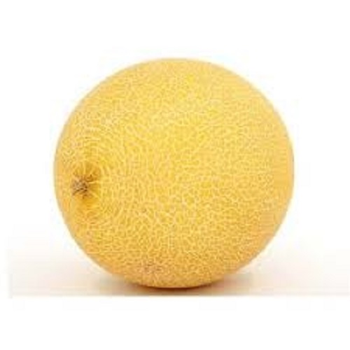 Melone Galia Kg.